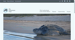 Desktop Screenshot of greatturtlerace.com